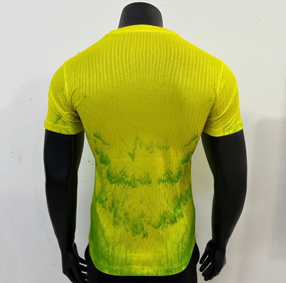 Brazil Ink Painting Edition