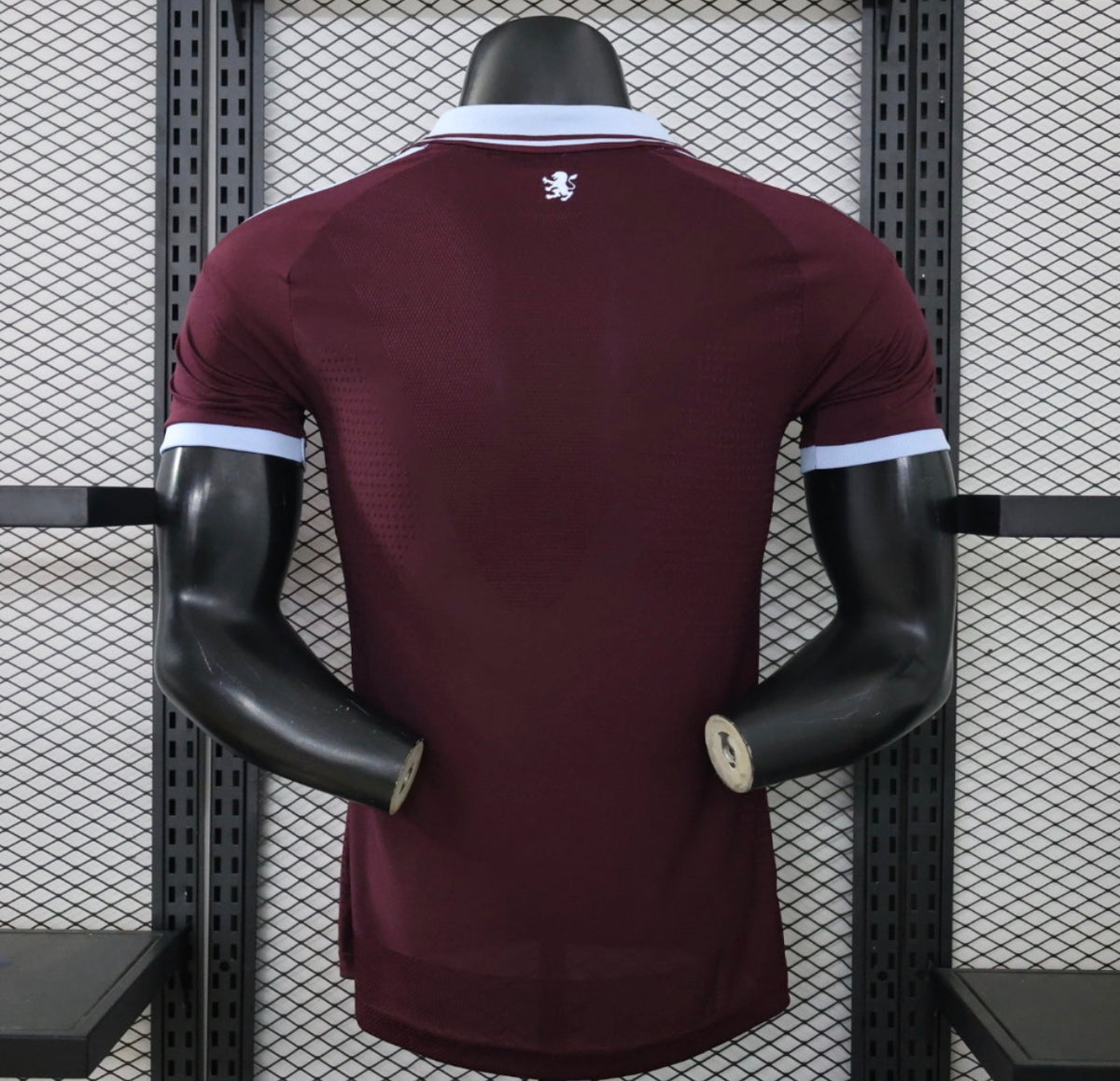 Aston Villa Home