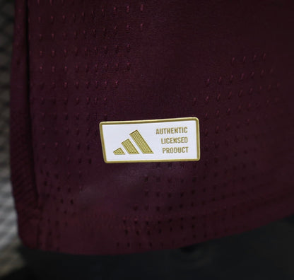 Aston Villa Home
