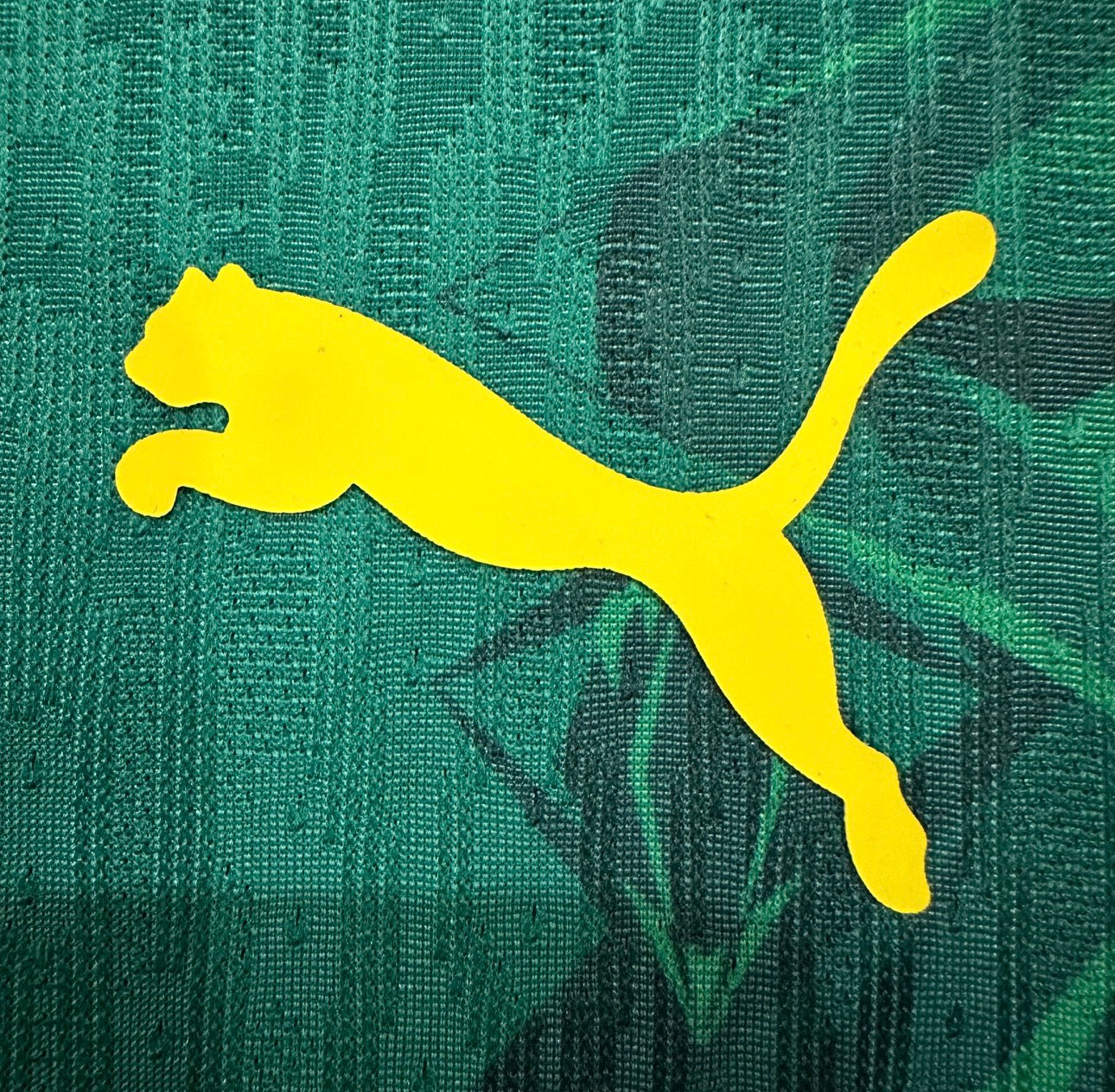 SENEGAL (Home)